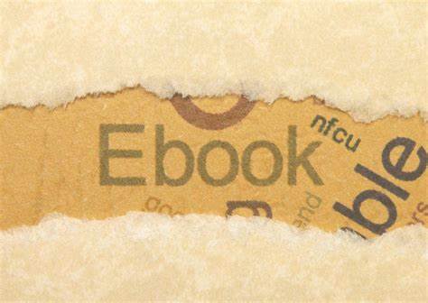 6寸PDF电子书40GB