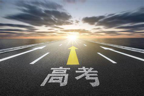 中小学学习资料16T